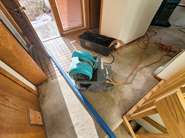 Best Fire Damage Restoration  in West Pelzer, SC