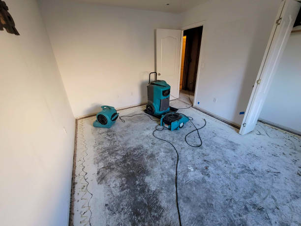 Best Emergency water damage restoration  in West Pelzer, SC