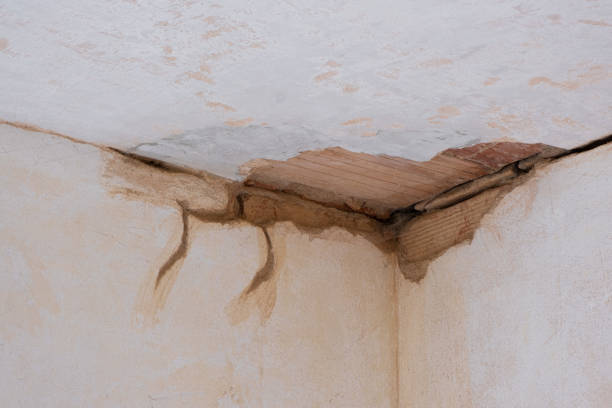Professional Water damage restoration in SC