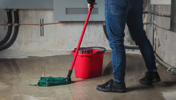 Best Flood damage cleanup  in West Pelzer, SC