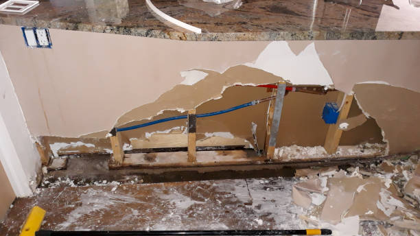 Best Sewage cleanup and water damage restoration  in West Pelzer, SC