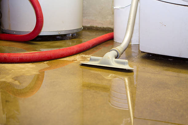 Best Commercial water damage restoration  in West Pelzer, SC
