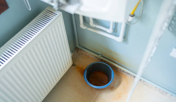  West Pelzer, SC Water damage restoration Pros