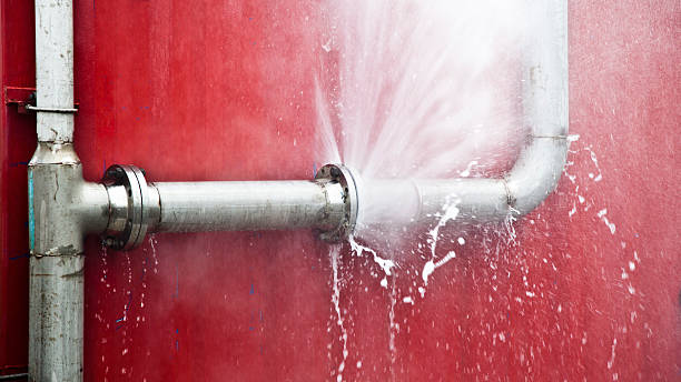 Best Professional water damage repair  in West Pelzer, SC